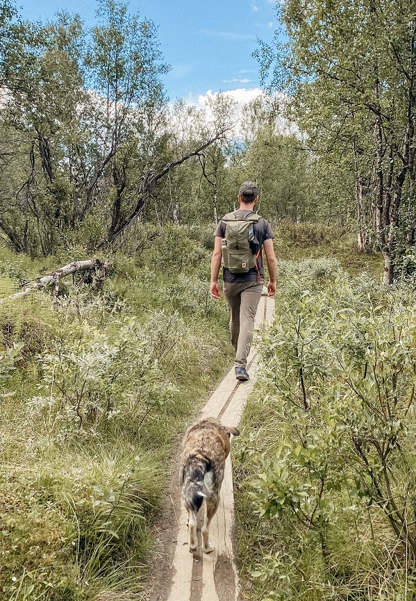 Wandern mit Hund Tipps und Wissenswertes